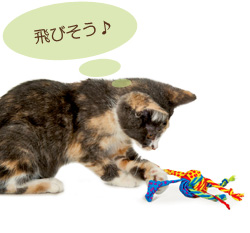 猫のおもちゃ　ペットステージ　リボンとヒモのボウル