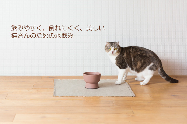 猫とおしゃれな水飲み器