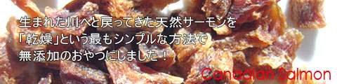 ǭ��̵ź�ä���ġ�ŷ��������󡡥��㡼����