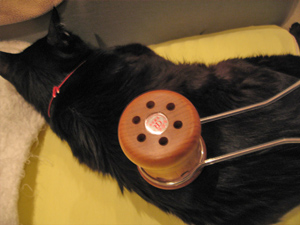 猫と温灸器