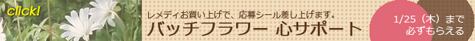 バッチフラワーレメディキャンペーン2023