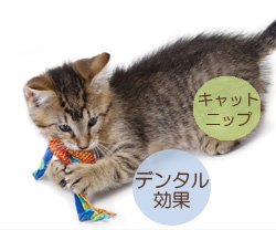 猫のキャットニップおもちゃ