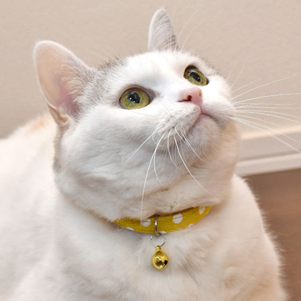 猫の可愛い首輪ちりめん水玉黄色