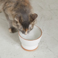 猫用水飲み器